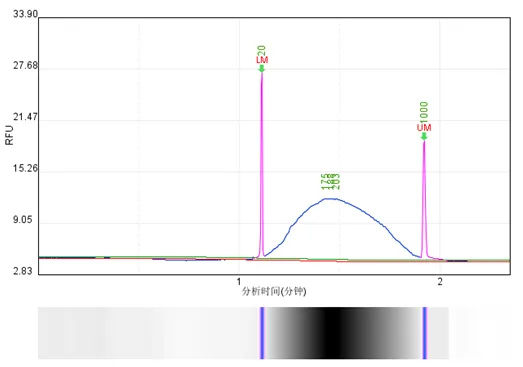 高通量聲波基因組剪切儀DNA片段化結(jié)果圖案例1